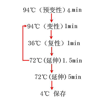 九游会·J9(中国游)集团官网-真人游戏第一品牌