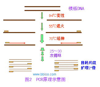 九游会·J9(中国游)集团官网-真人游戏第一品牌
