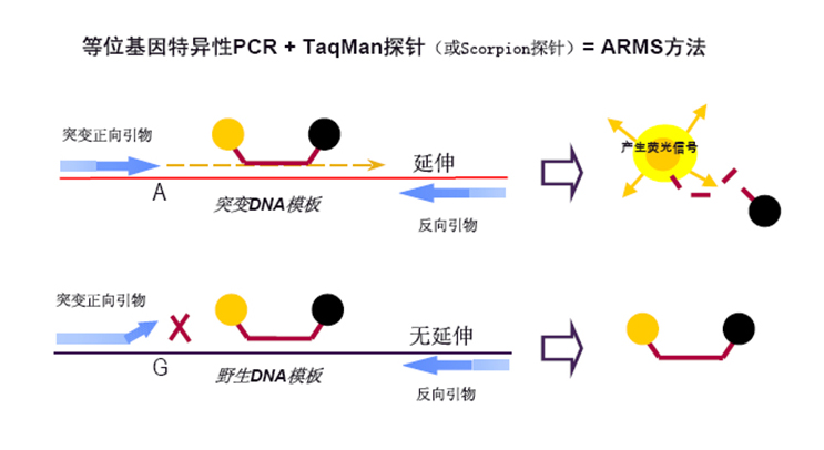 九游会·J9(中国游)集团官网-真人游戏第一品牌